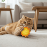 Orange cat playing with a sun-shaped toy on a carpeted floor.