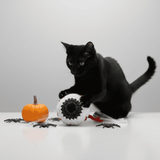 black cat with halloween decor playing with a bruiser mckitty bloody eyeball catnip toy