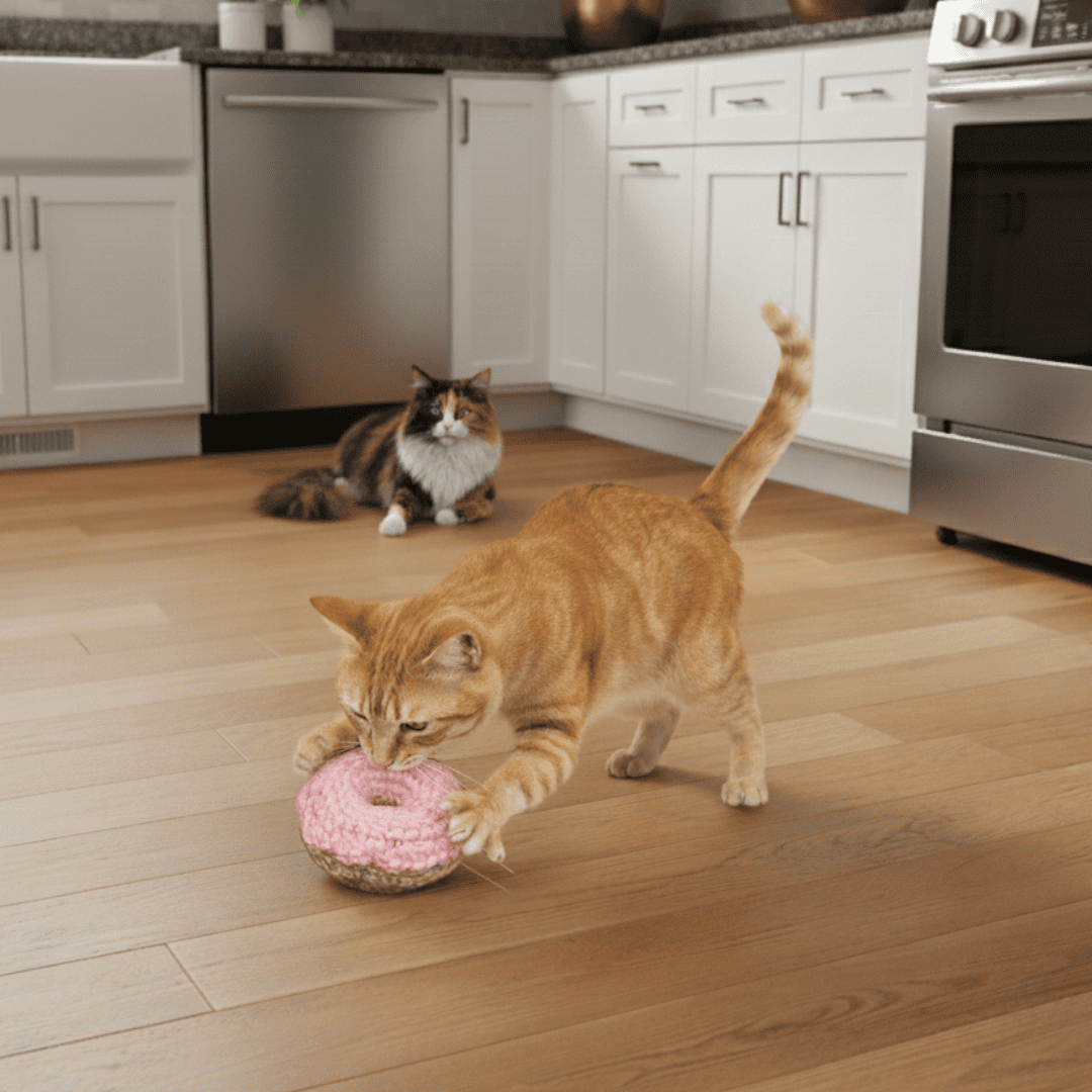 Two cats playing with a pink donut-shaped toy on a wooden floor in a kitchen.